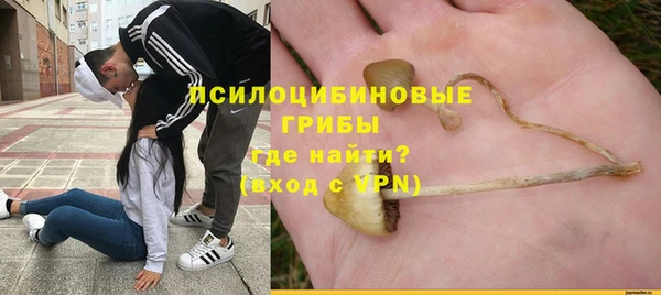 экстази Абаза
